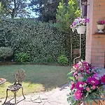 Viaggi Dipinti *