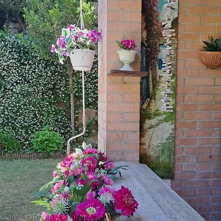 Viaggi Dipinti Apartment