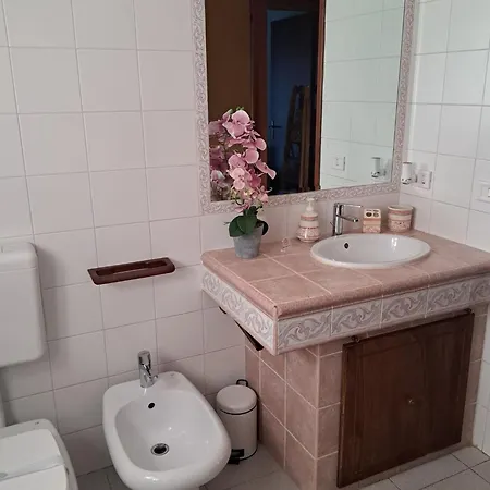 Viaggi Dipinti *
