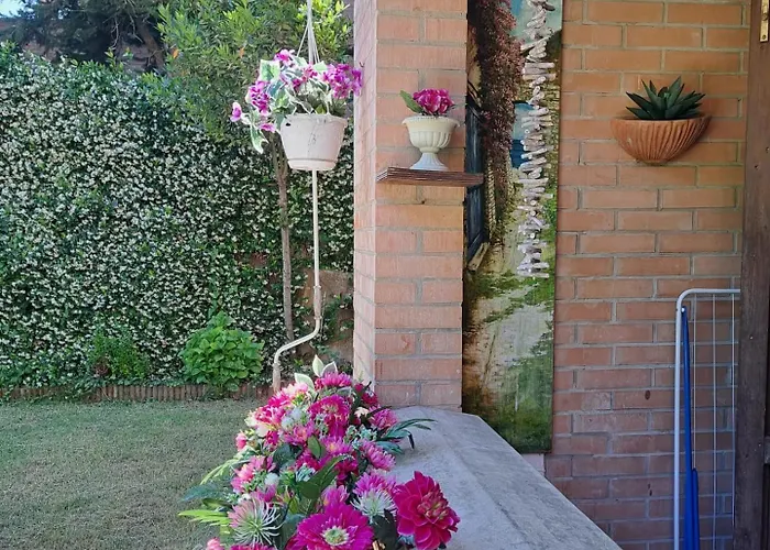 Viaggi Dipinti Daire